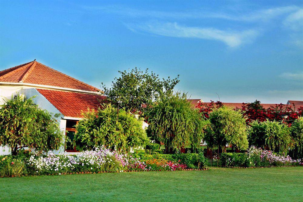 מלון רישיקש Naturoville Ayurvedic And Yoga Retreat מראה חיצוני תמונה