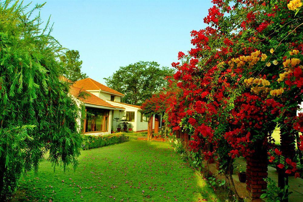 מלון רישיקש Naturoville Ayurvedic And Yoga Retreat מראה חיצוני תמונה