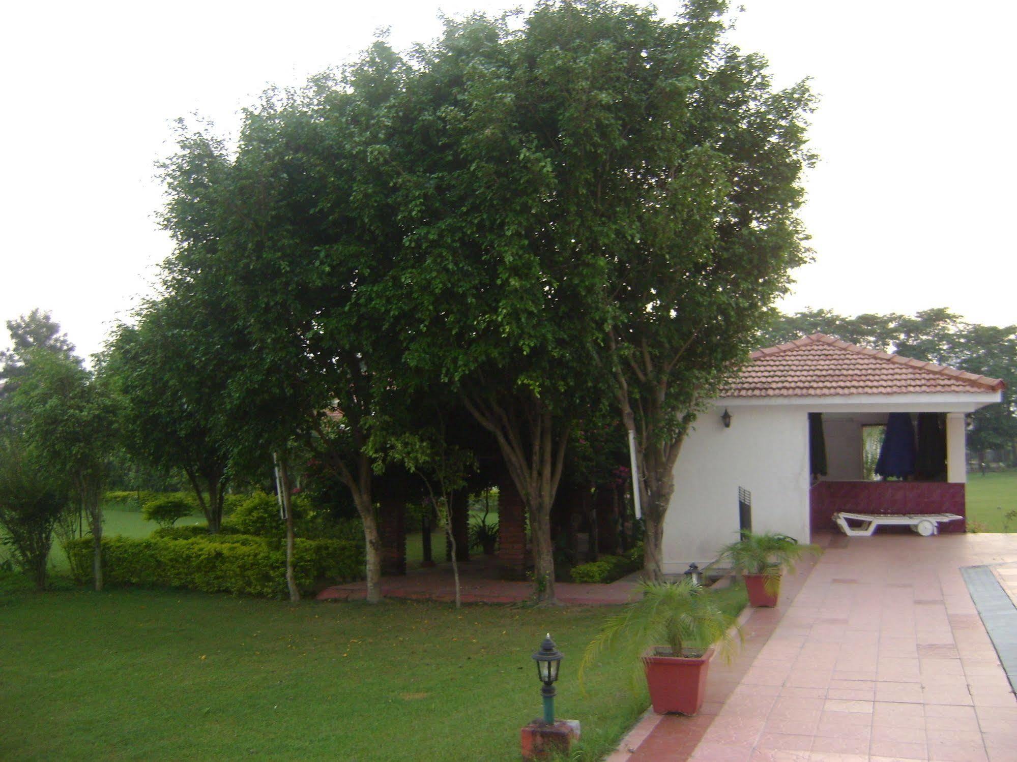 מלון רישיקש Naturoville Ayurvedic And Yoga Retreat מראה חיצוני תמונה
