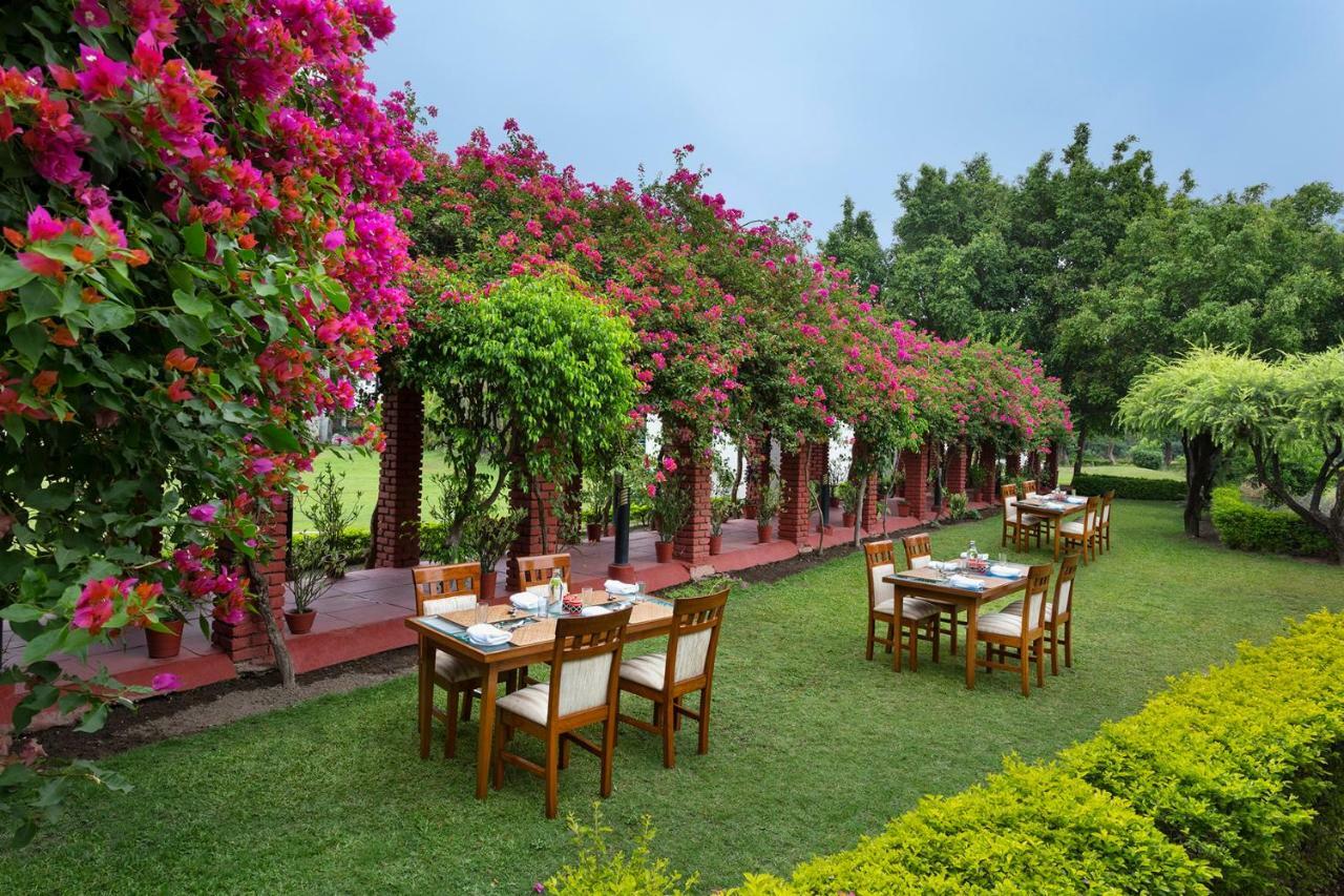 מלון רישיקש Naturoville Ayurvedic And Yoga Retreat מראה חיצוני תמונה