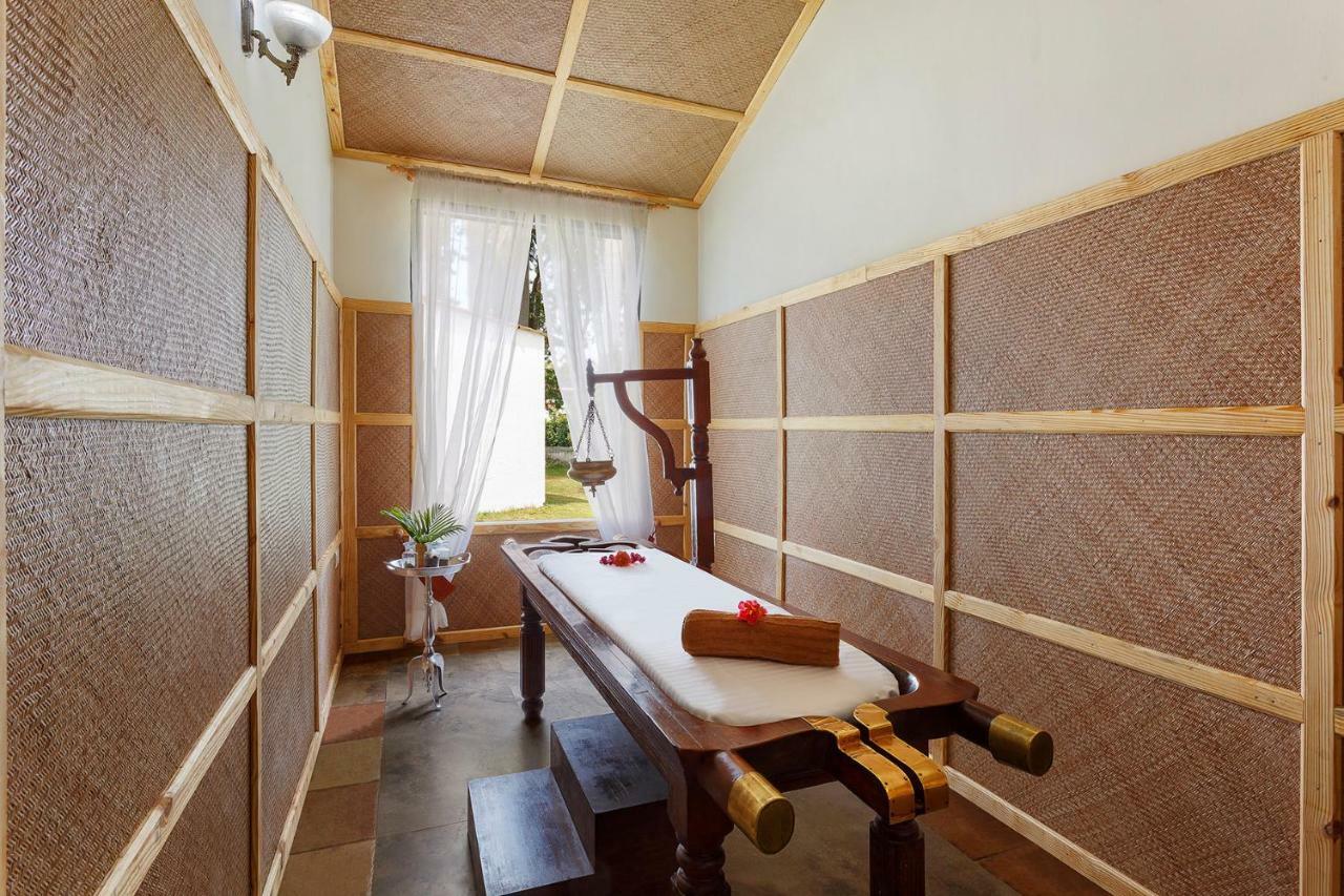 מלון רישיקש Naturoville Ayurvedic And Yoga Retreat מראה חיצוני תמונה
